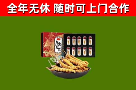 监利市烟酒回收冬虫夏草礼盒.jpg